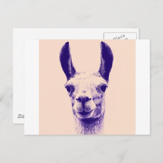 Herr Llama Postkarte (Vorne/Hinten)