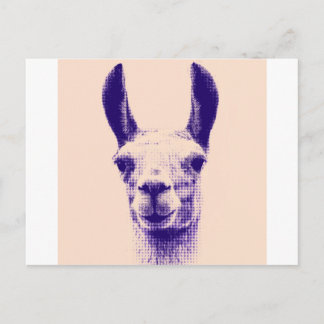 Herr Llama Postkarte