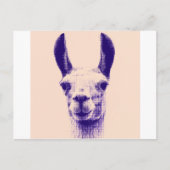 Herr Llama Postkarte (Vorderseite)