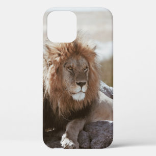 HERR LÖWE Case-Mate iPhone HÜLLE