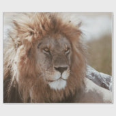 HERR LÖWE GESCHENKPAPIER (Flach)