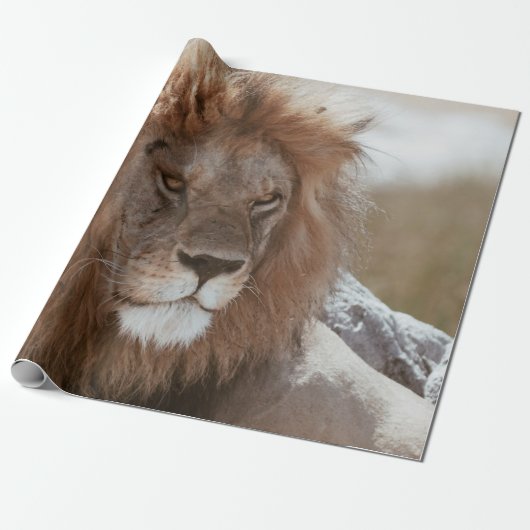 HERR LÖWE GESCHENKPAPIER (Ungerollt)