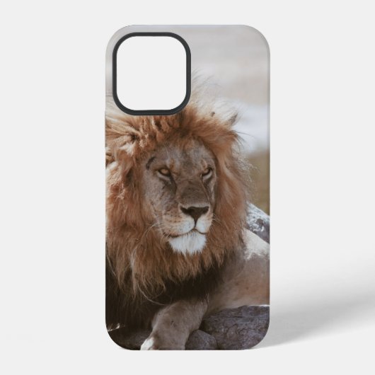 HERR LÖWE iPhone HÜLLE (Rückseite)