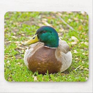Herr Mallard die Ente Mousepad