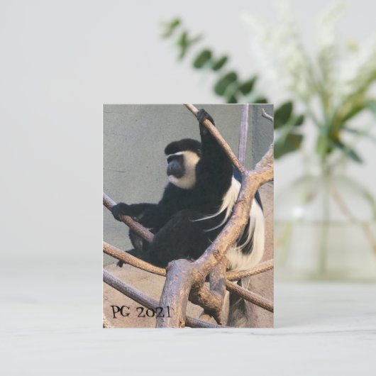 Herr Monkey Postkarte (Stehend Vorderseite)