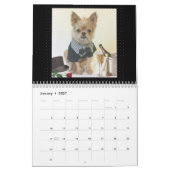 Herr Monks 2017 Kalender (Jan 2027)