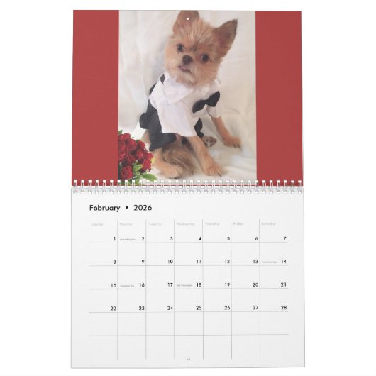 Herr Monks 2017 Kalender (Feb 2026)