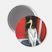 Herr Mykonos Magnet (Vorderseite/Rückseite)