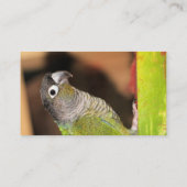 Herr Oliver Visitenkarte (Rückseite)