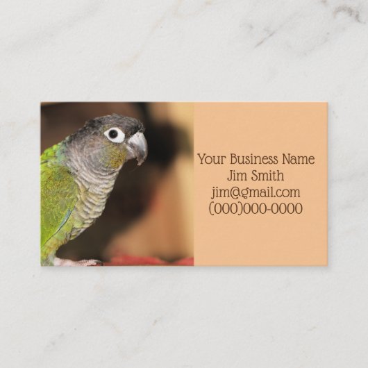 Herr Oliver Visitenkarte (Vorderseite)