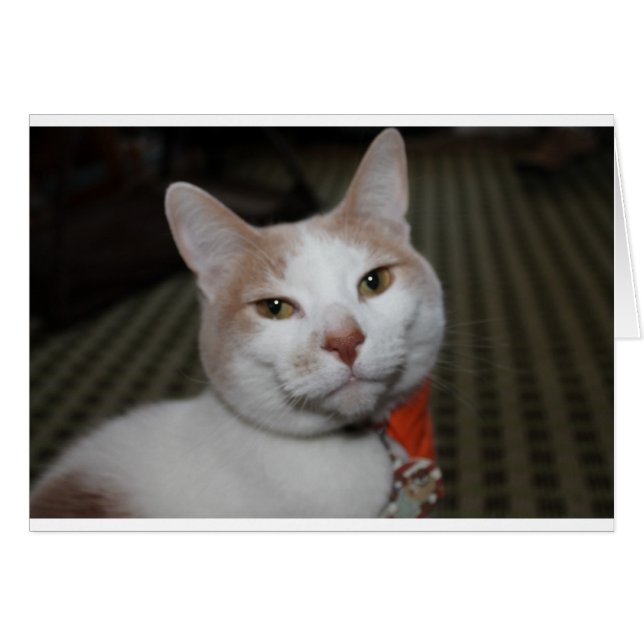 Herr Peabody! (Vorderseite (Horizontal))