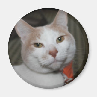 Herr Peabody! Magnet