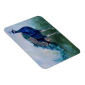 Herr Peacock Magnet (Rechte Seite)