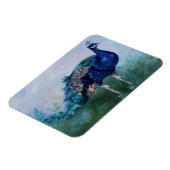 Herr Peacock Magnet (Linke Seite)