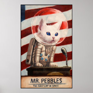 HERR PEBBLES - Hohe Qualität Poster