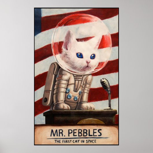 HERR PEBBLES - Hohe Qualität Poster (Vorne)