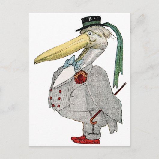 HERR PELIKAN POSTKARTE (Vorderseite)