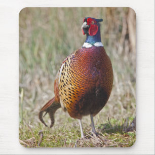 Herr Pheasant Mousemat Mousepad