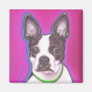 Herr Pickles der Magnet