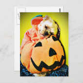 Herr Puppy Pumpkin Postkarte (Vorne/Hinten)