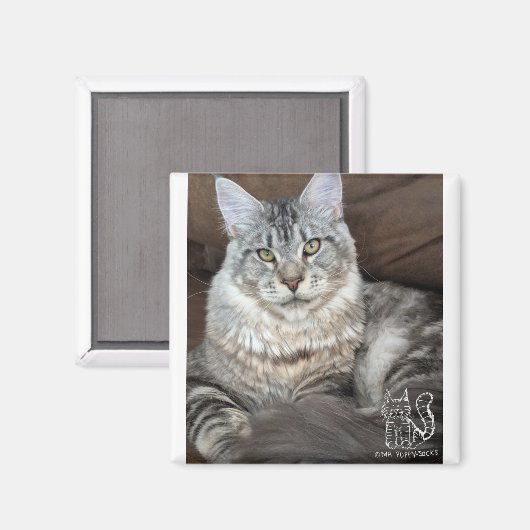 Herr Puppy-Socks Magnet #4 (Vorderseite/Rückseite)