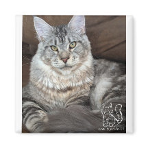 Herr Puppy-Socks Magnet #4