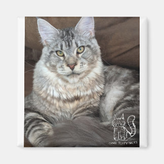 Herr Puppy-Socks Magnet #4