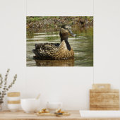 Herr Quack Poster (Küche)