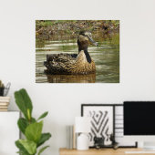 Herr Quack Poster (Heimbüro)
