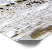 Herr Rhino's Day am Beach Poster (Ecke)