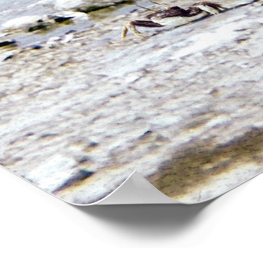 Herr Rhino's Day am Beach Poster (Ecke)