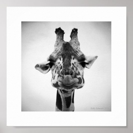 Herr Serious Giraffe Black and White Fotografy Poster (Vorne)