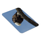 Herr Serious Magnet (Rechte Seite)