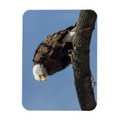 Herr Serious Magnet (Vertikal)