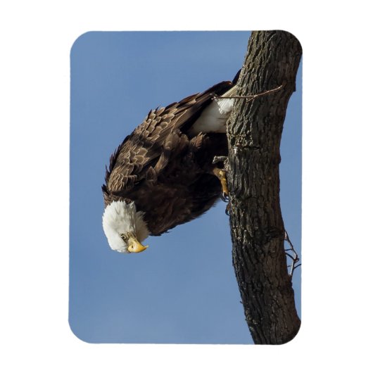 Herr Serious Magnet (Vertikal)