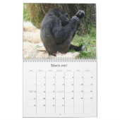 Herr Silverback Kalender (Mär 2027)
