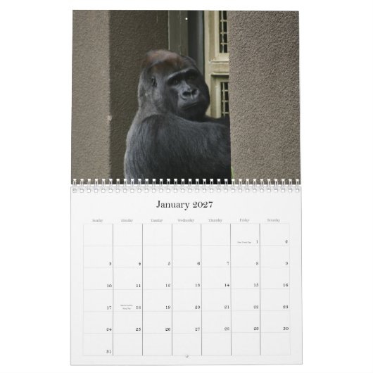 Herr Silverback Kalender (Jan 2027)