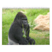 Herr Silverback Kalender (Titelbild)