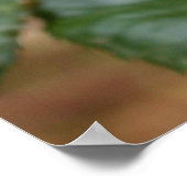 Herr Snail Poster (Ecke)