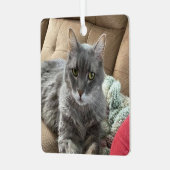 Herr Troubles Ornament Aus Metall (Vorderseite links)