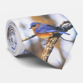 Herr Truman, Drossel-Missouri-Staats-Vogel Krawatte (Gerollt)