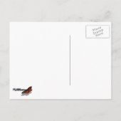 Herr und Frau Beach Rocks im Bar Harbour Postkarte (Rückseite)