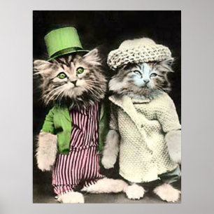 Herr und Frau Cat Poster