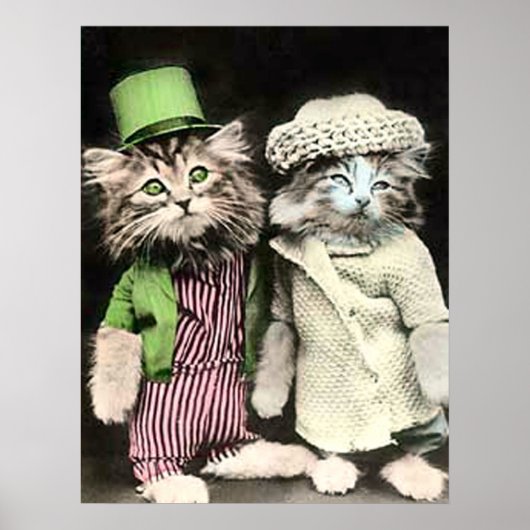 Herr und Frau Cat Poster (Vorne)