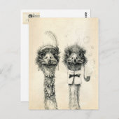 Herr und Frau Ostrich Postkarte (Vorne/Hinten)