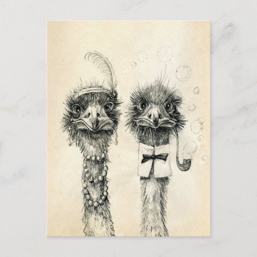 Herr und Frau Ostrich Postkarte (Vorderseite)