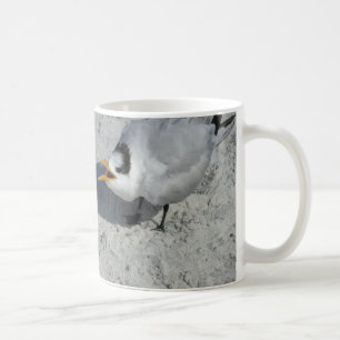 Herr und Frau Royal Tern auf dem Strand Kaffeetasse