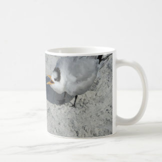 Herr und Frau Royal Tern auf dem Strand Kaffeetasse