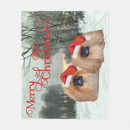 Herr und Frau Santa Claus Fleecedecke (Vorderseite)