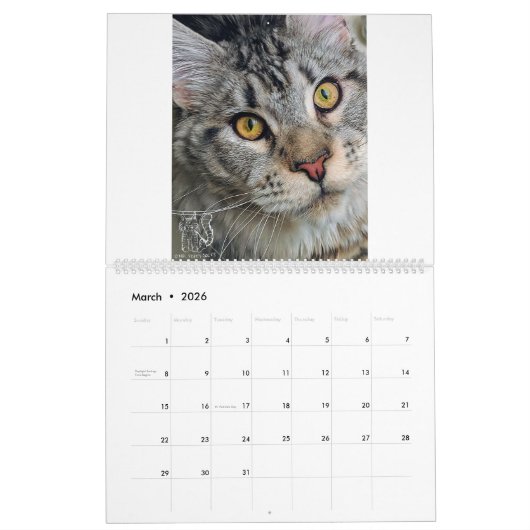 Herr Welpe-Socke Calendar Kalender (Mär 2026)